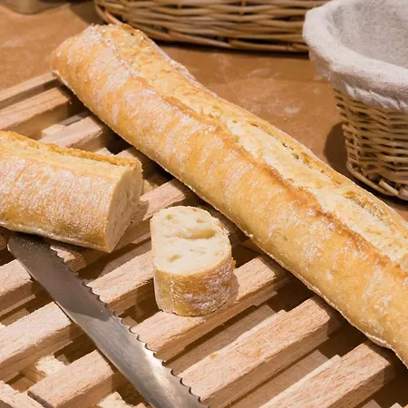 لو لودج بريت زينيث 4* ستراسبورغ